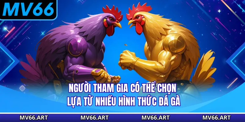 Người tham gia có thể chọn lựa từ nhiều hình thức đá gà 