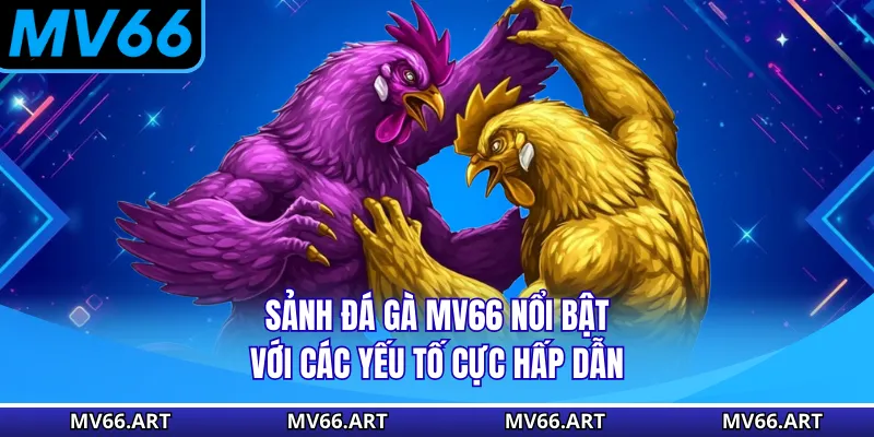 Sảnh đá gà MV66 nổi bật với các yếu tố cực hấp dẫn